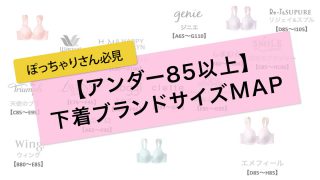 アンダー85以上の下着ブランドサイズMAP【E85~I105】