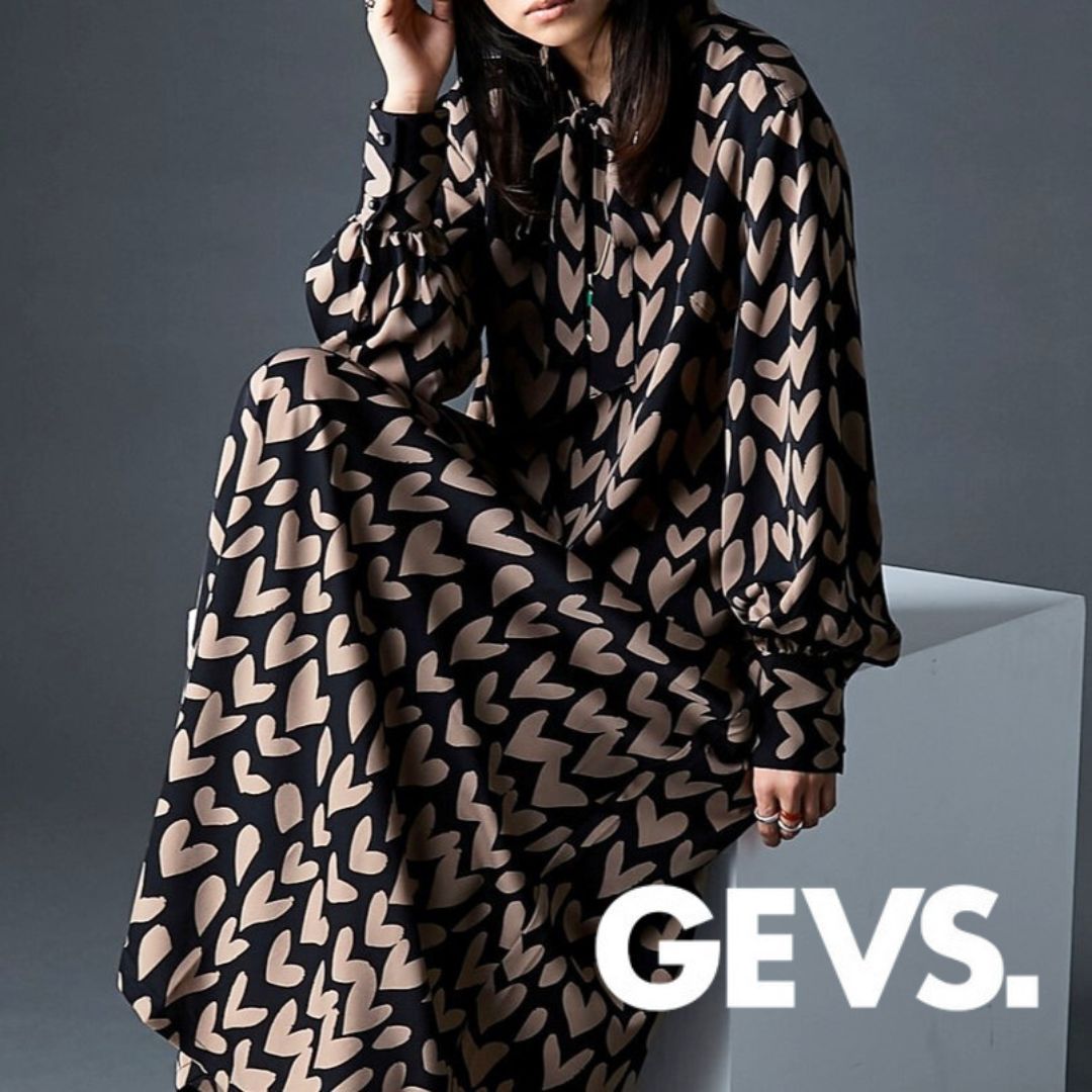 GEVS（ジェイヴィス）