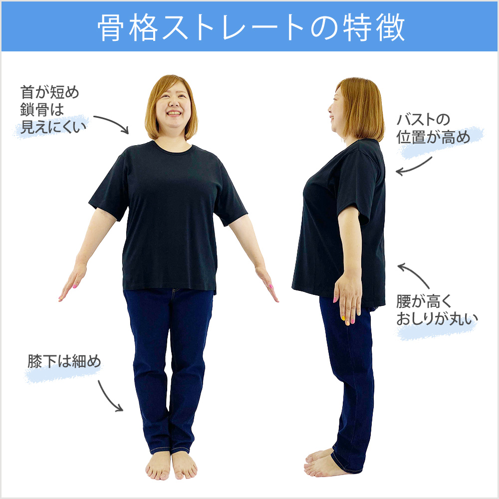 骨格ストレートぽっちゃりさんの特徴