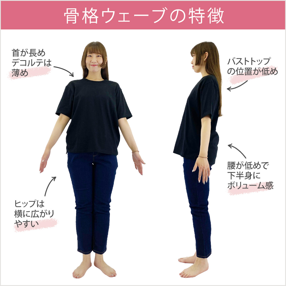 骨格ウェーブぽっちゃりさんの特徴